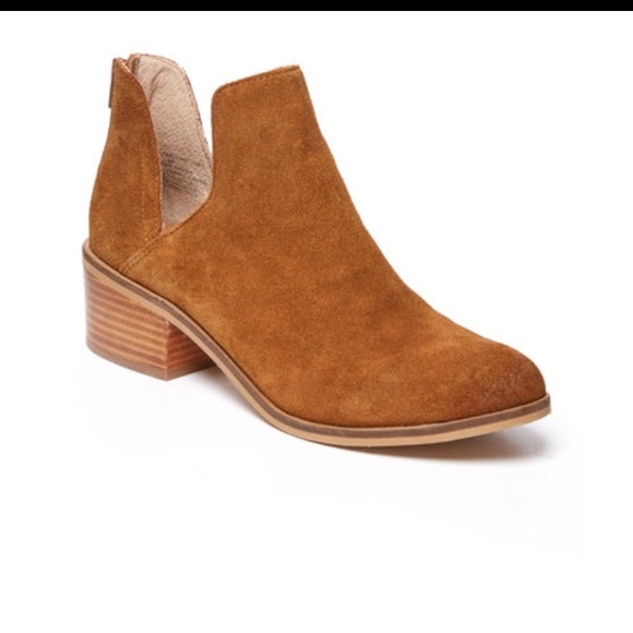 lancaster steve madden